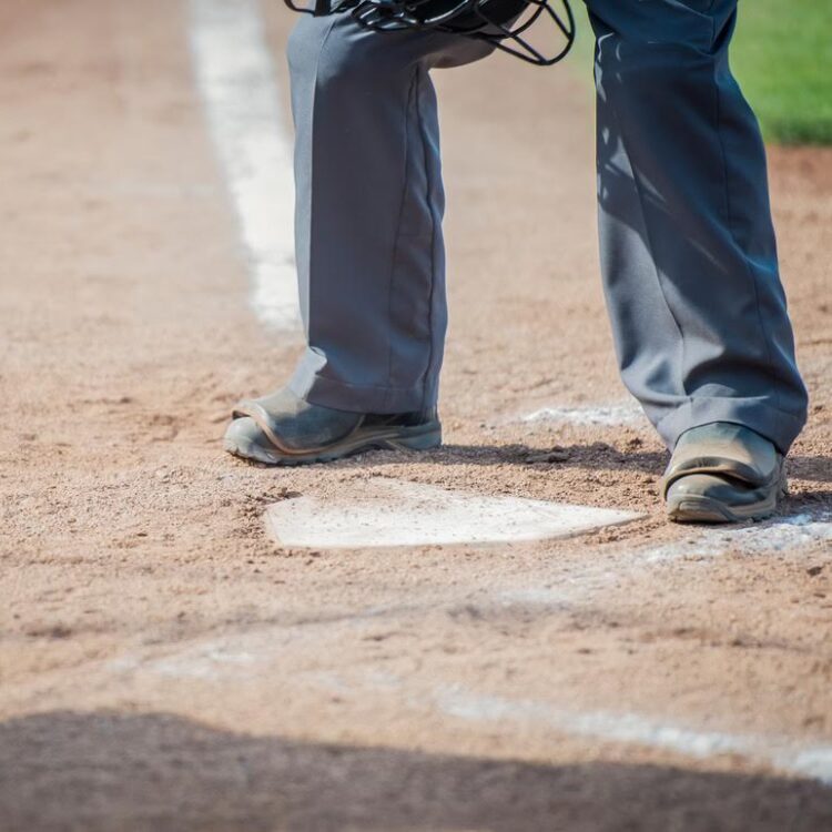 Image of a baseball umpire